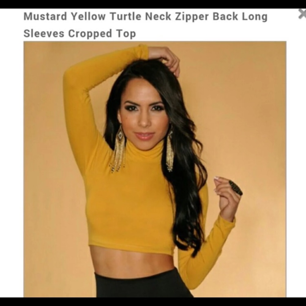 Turtle Neck Zipper Back Crop Top